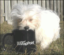 Large MapPoint Mug